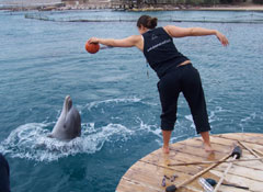 Eilat Trip Photo 6